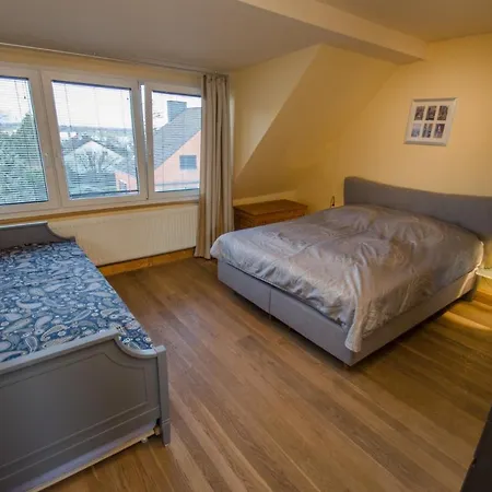 Cologne * فريشن